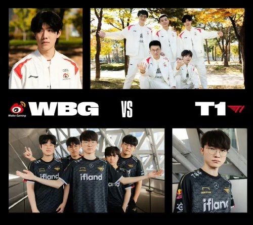 各单位不仅 各单位不仅