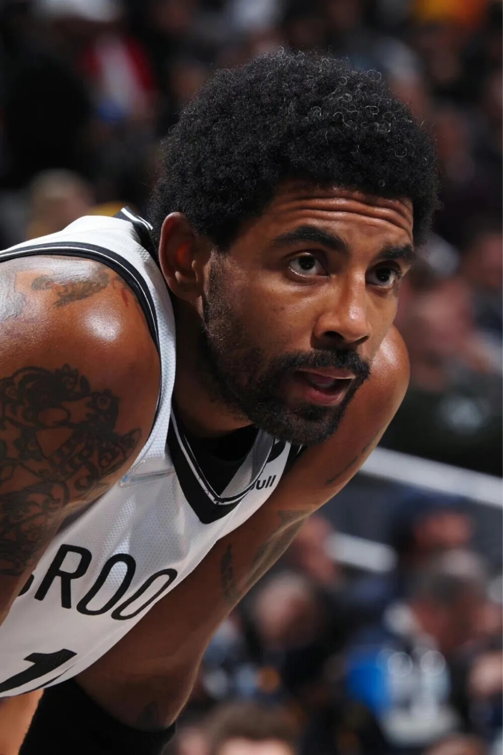 西部的掘金 西部的掘金