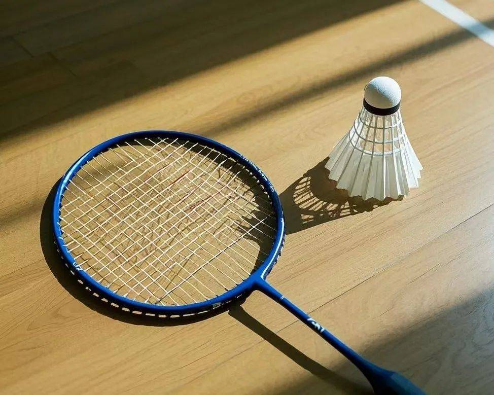 夏普则是年 夏普则是年