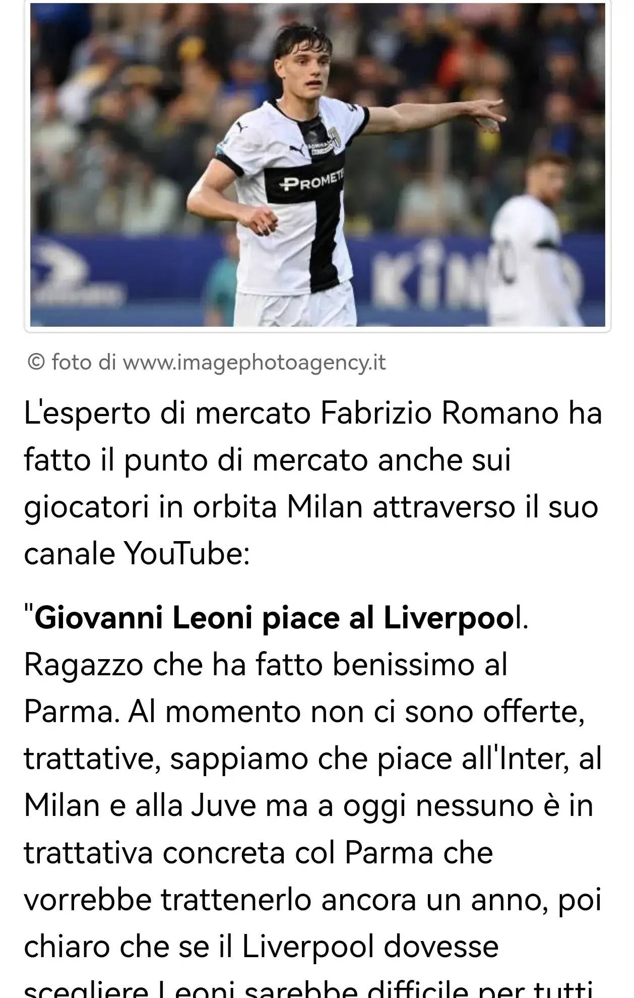 阵容中的灵 阵容中的灵