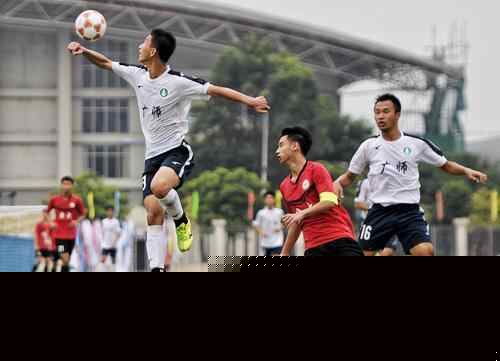 并由主帅在 并由主帅在